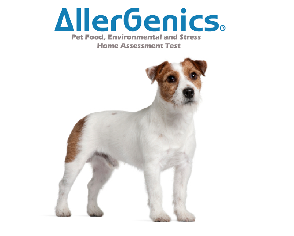 45 & Up for AtHome Pet Allergy Assessment Kits & Dog Breed Tests