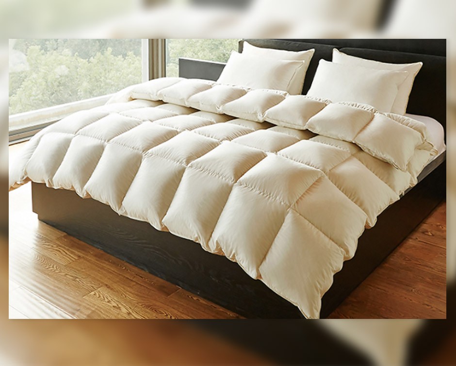 27 & Up for a 100 Cotton Down Duvet Buytopia